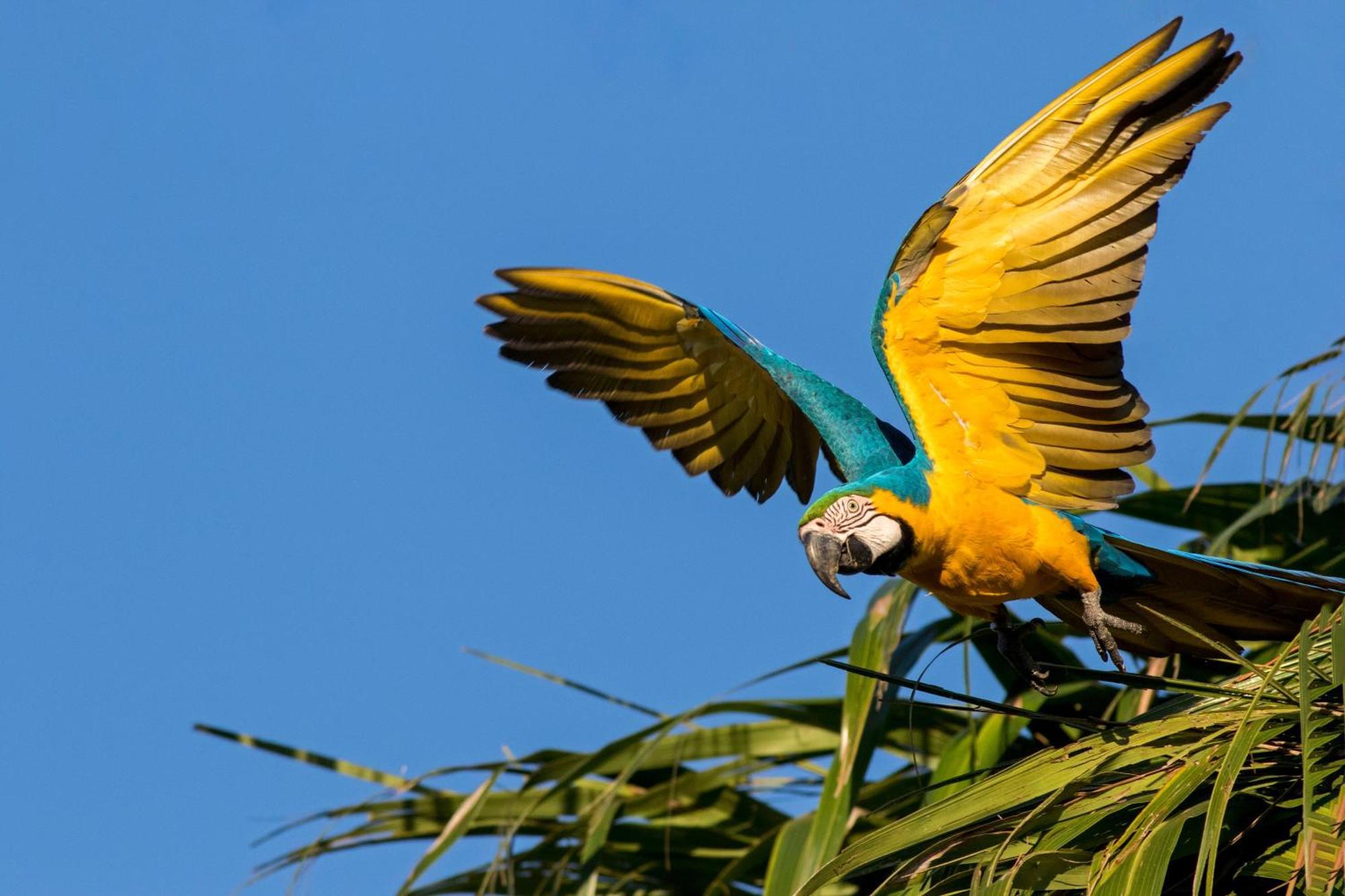 Caiman Lodge - Cuyabeno Nature Amazon Tour Exterior photo