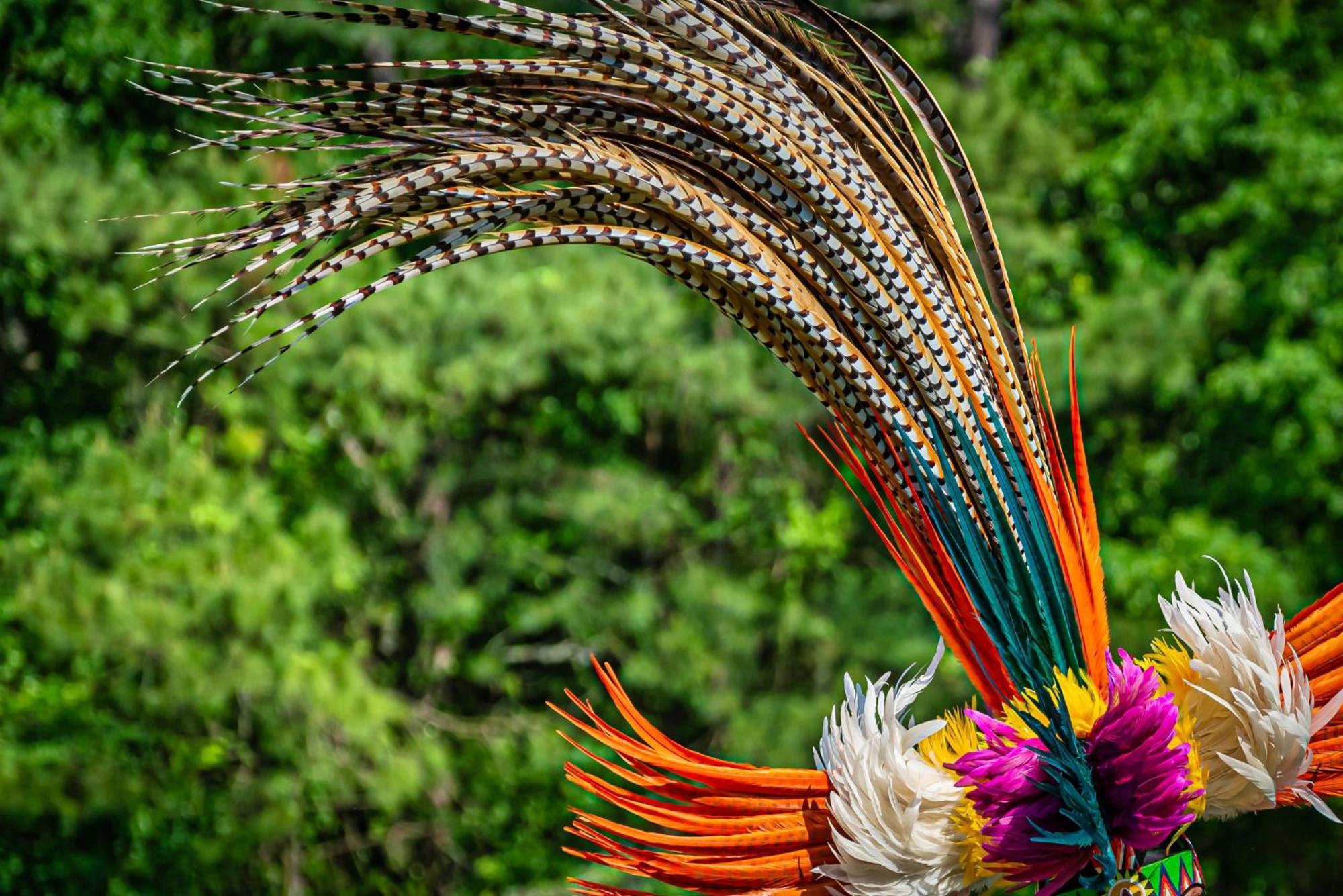 Caiman Lodge - Cuyabeno Nature Amazon Tour Exterior photo